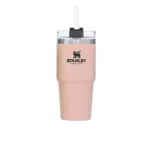 Stanley Quencher H2.O Tumbler – 20oz BPA-Free Insulated Stainless Steel Water Cup-Tumblers