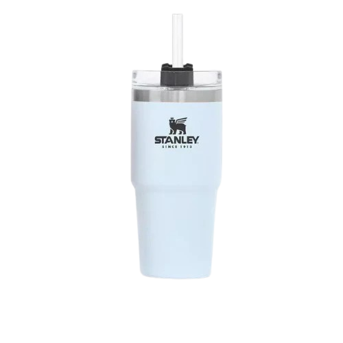 Stanley Quencher H2.O Tumbler – 20oz BPA-Free Insulated Stainless Steel Water Cup-Tumblers