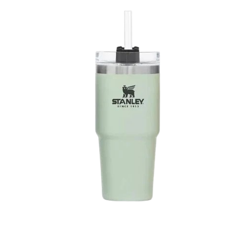Stanley Quencher H2.O Tumbler – 20oz BPA-Free Insulated Stainless Steel Water Cup-Tumblers