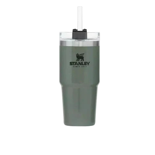 Stanley Quencher H2.O Tumbler – 20oz BPA-Free Insulated Stainless Steel Water Cup-Tumblers