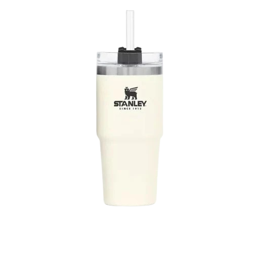 Stanley Quencher H2.O Tumbler – 20oz BPA-Free Insulated Stainless Steel Water Cup-Tumblers